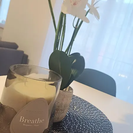 Daire Coeur De - Tres Spacieux Et En Hyper Centre